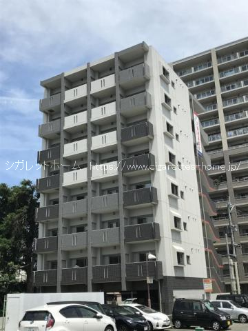 2593画像